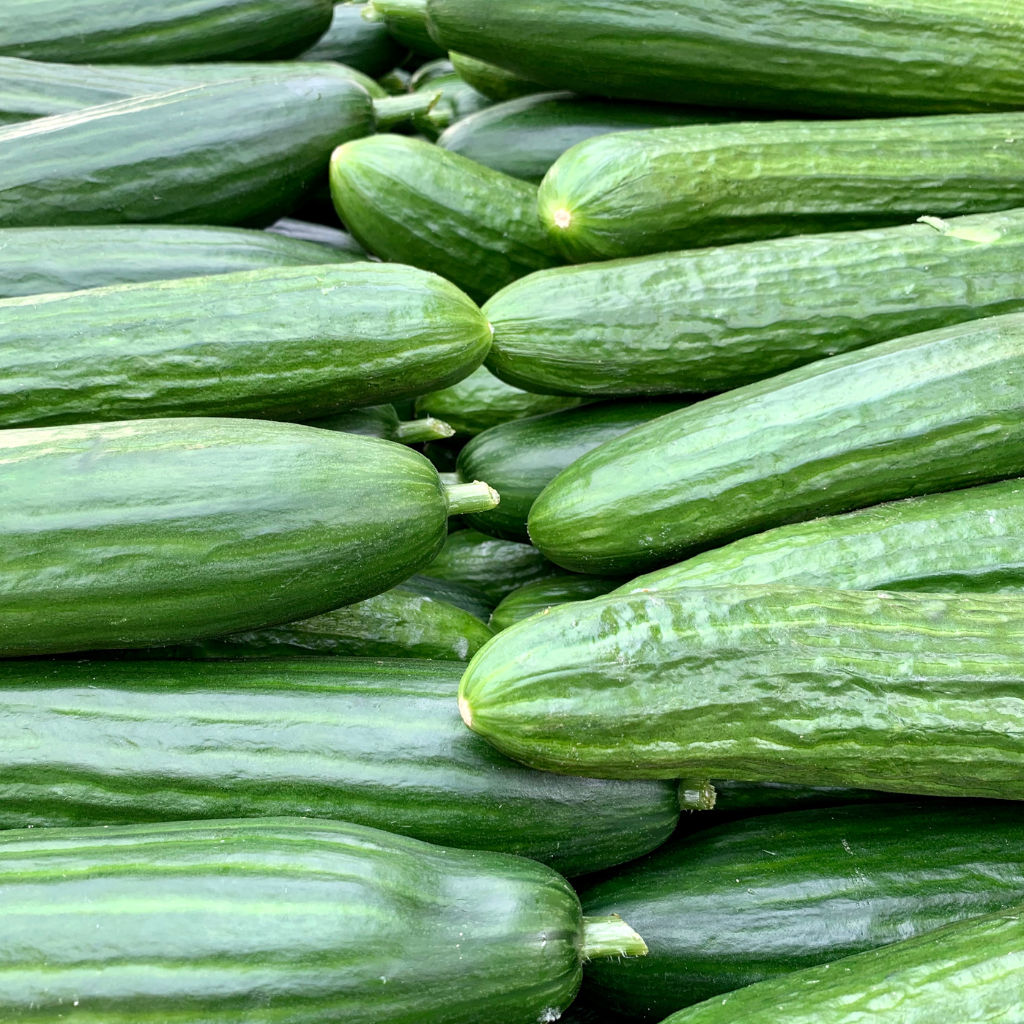Nuestros Productos pepino